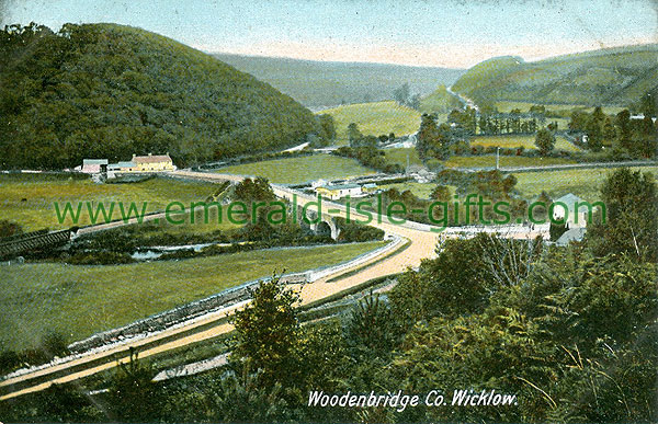 Wicklow - Woodenbridge - View