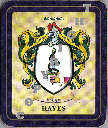 Hayes Family Irish Heraldic Coasters