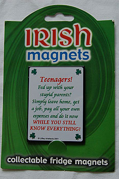 Irish Fridge Magnet - Teenagers !