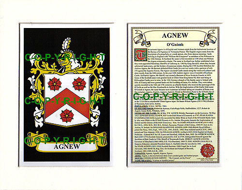 Agnew Family Crest and Name History