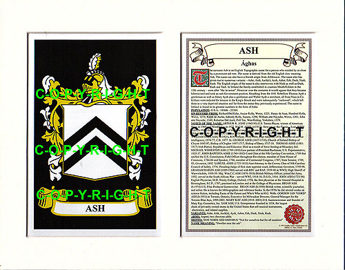 Ash Family Crest and Name History