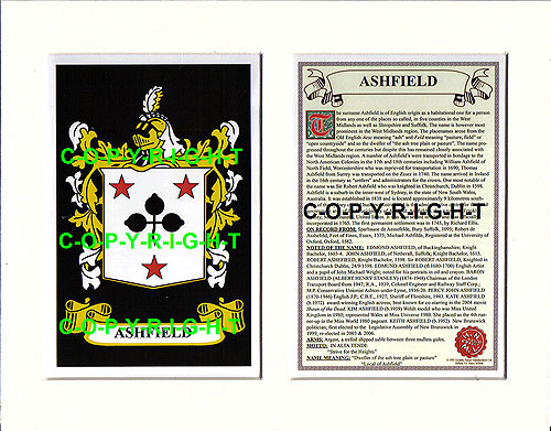 Ashfield Family Crest and Name History