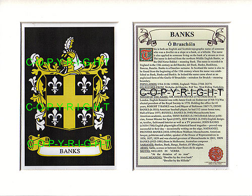 Banks Family Crest and Name History