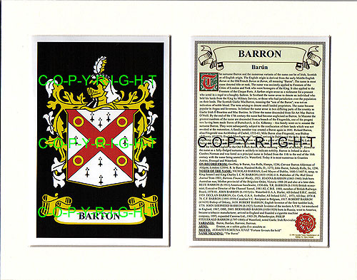 Barron Family Crest and Name History