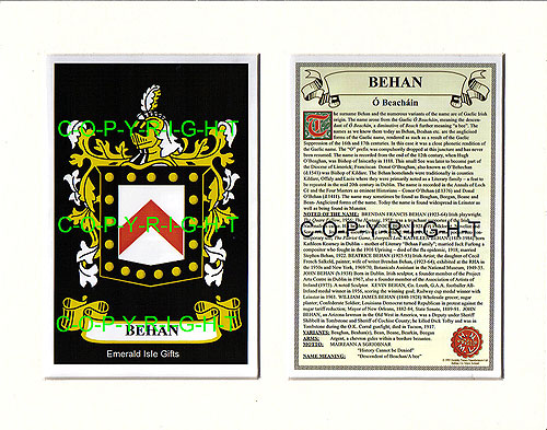 Behan Family Crest and Name History