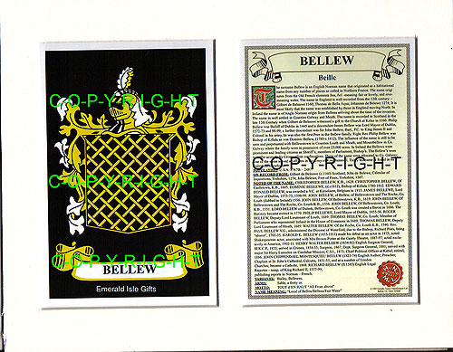 Bellew Family Crest and Name History