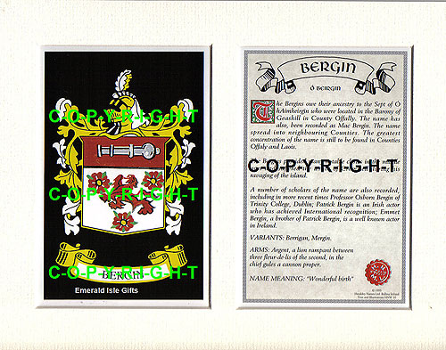 Bergin Family Crest and Name History