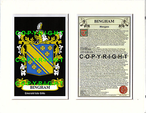 Bingham Family Crest and Name History