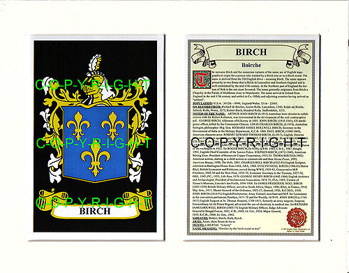 Birch Family Crest and Name History