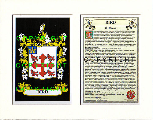 Bird Family Crest and Name History