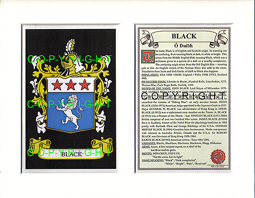 Black Family Crest and Name History