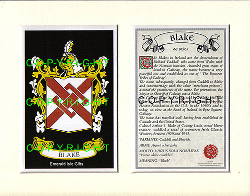 Blake Family Crest and Name History