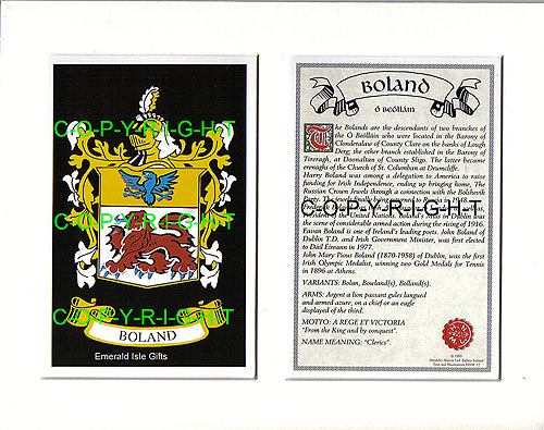 Boland Family Crest and Name History