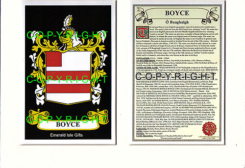 Boyce Family Crest and Name History