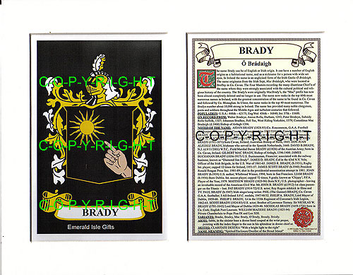 Brady Family Crest and Name History