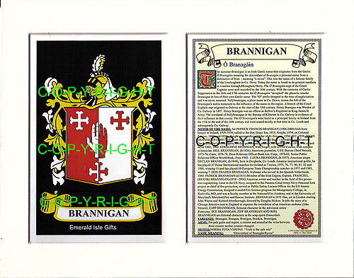 Brannigan Family Crest and Name History