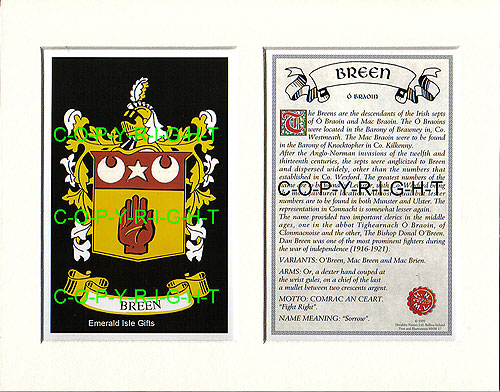 Breen Family Crest and Name History