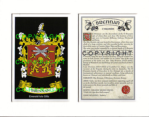 Brennan Family Crest and Name History