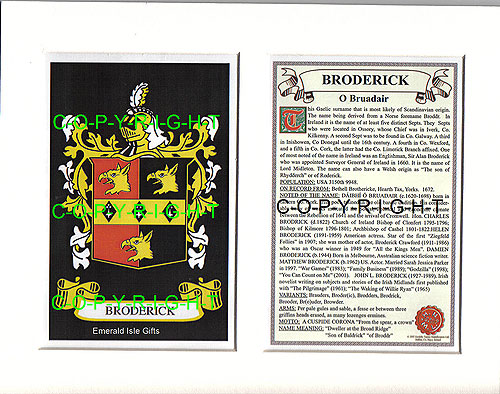 Broderick Family Crest and Name History