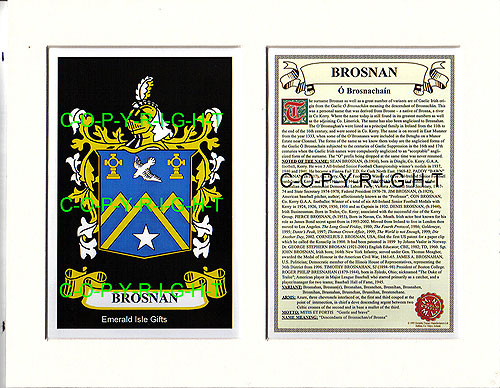 Brosnan Family Crest and Name History