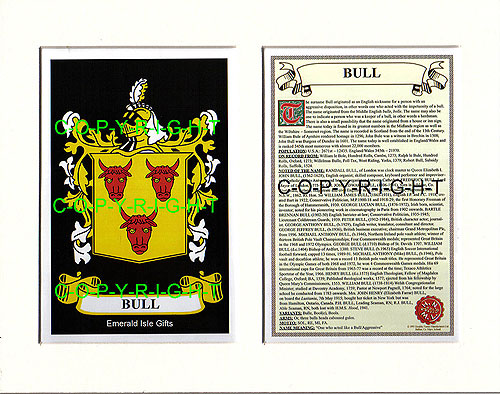 Bull Family Crest and Name History