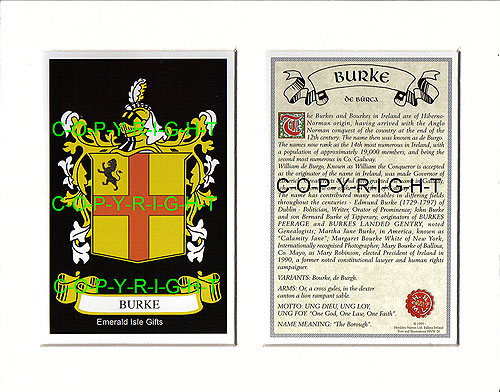 Burke Family Crest and Name History