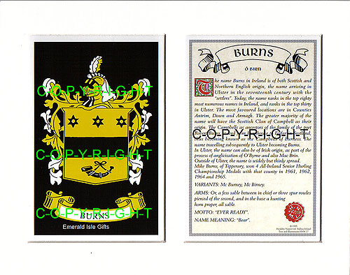 Burnes Family Crest and Name History