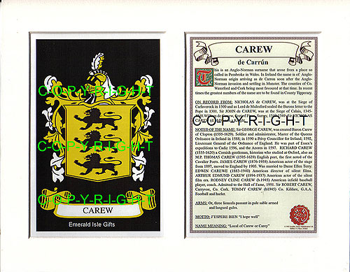 Carew Family Crest and Name History