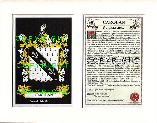 Carolan Family Crest and Name History