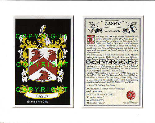 Casey Family Crest and Name History