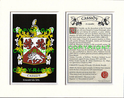 Cassidy Family Crest and Name History