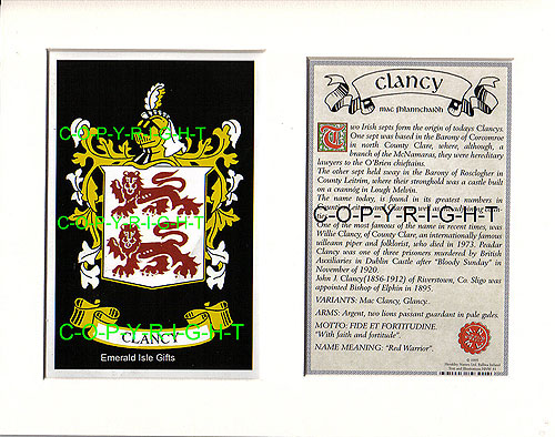 Clancy Family Crest and Name History