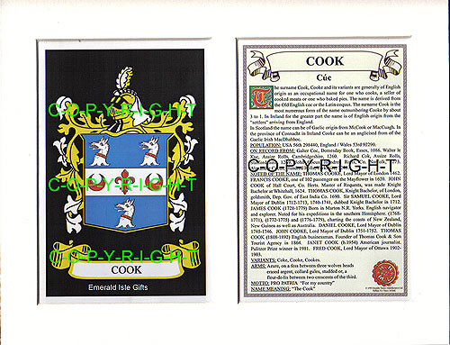 Cook Family Crest and Name History