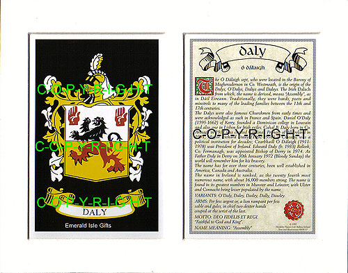 Daly Family Crest and Name History