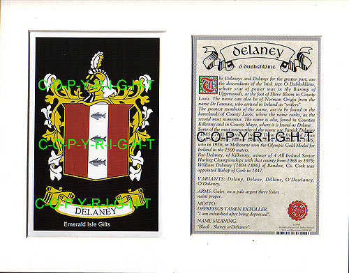 Delaney Family Crest and Name History