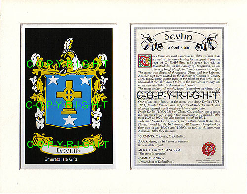 Devlin Family Crest and Name History