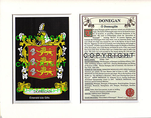 Donegan Family Crest and Name History