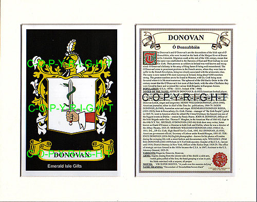 Donovan Family Crest and Name History