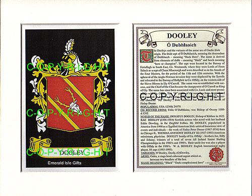 Dooley Family Crest and Name History