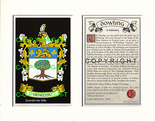 Dowling Family Crest and Name History