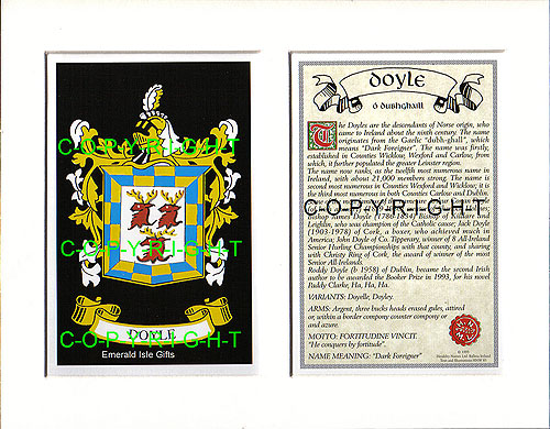 Doyle Family Crest and Name History