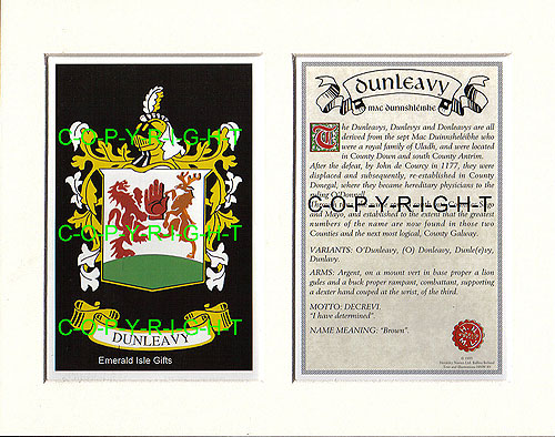 Dunleavy Family Crest and Name History