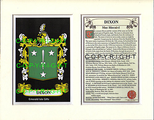 DINNEEN to DONOGHUE Family Crest and Name History