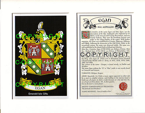 Egan Family Crest and Name History