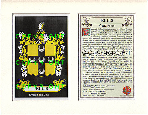 Ellis Family Crest and Name History