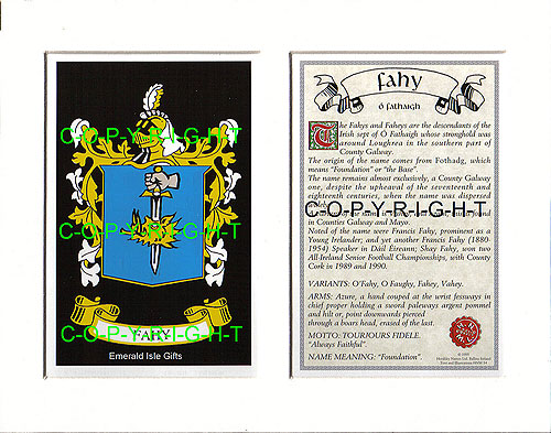 Fahy Family Crest and Name History