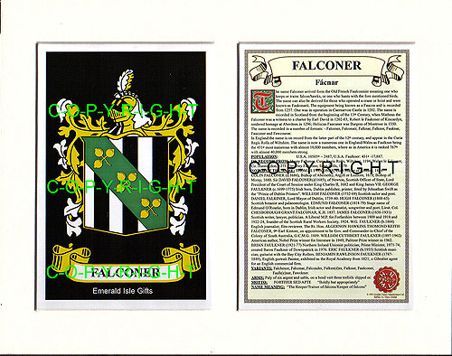 Falconer Family Crest and Name History