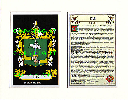 Fay Family Crest and Name History