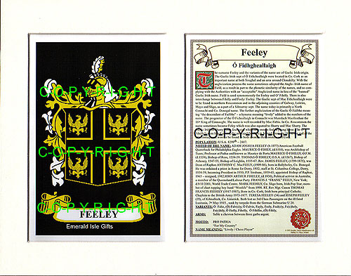 Feeley Family Crest and Name History