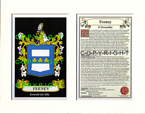 Feeney Family Crest and Name History